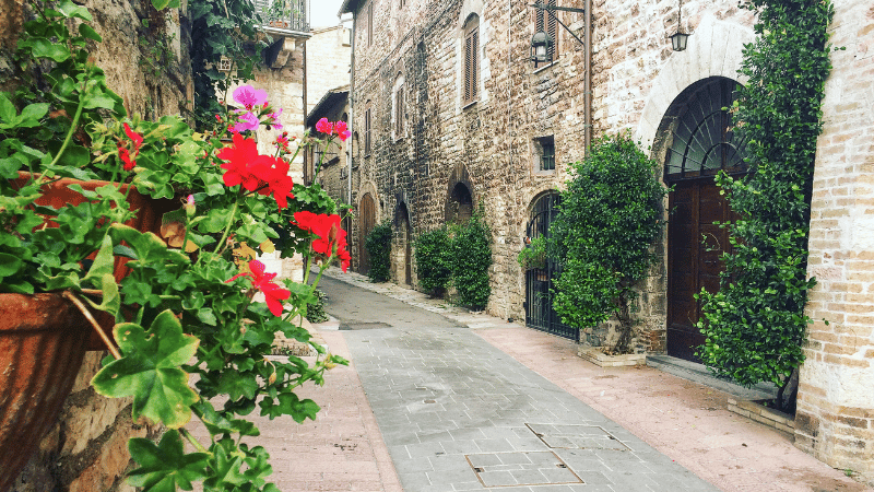 A stone lane in Assisi lined with red flowers