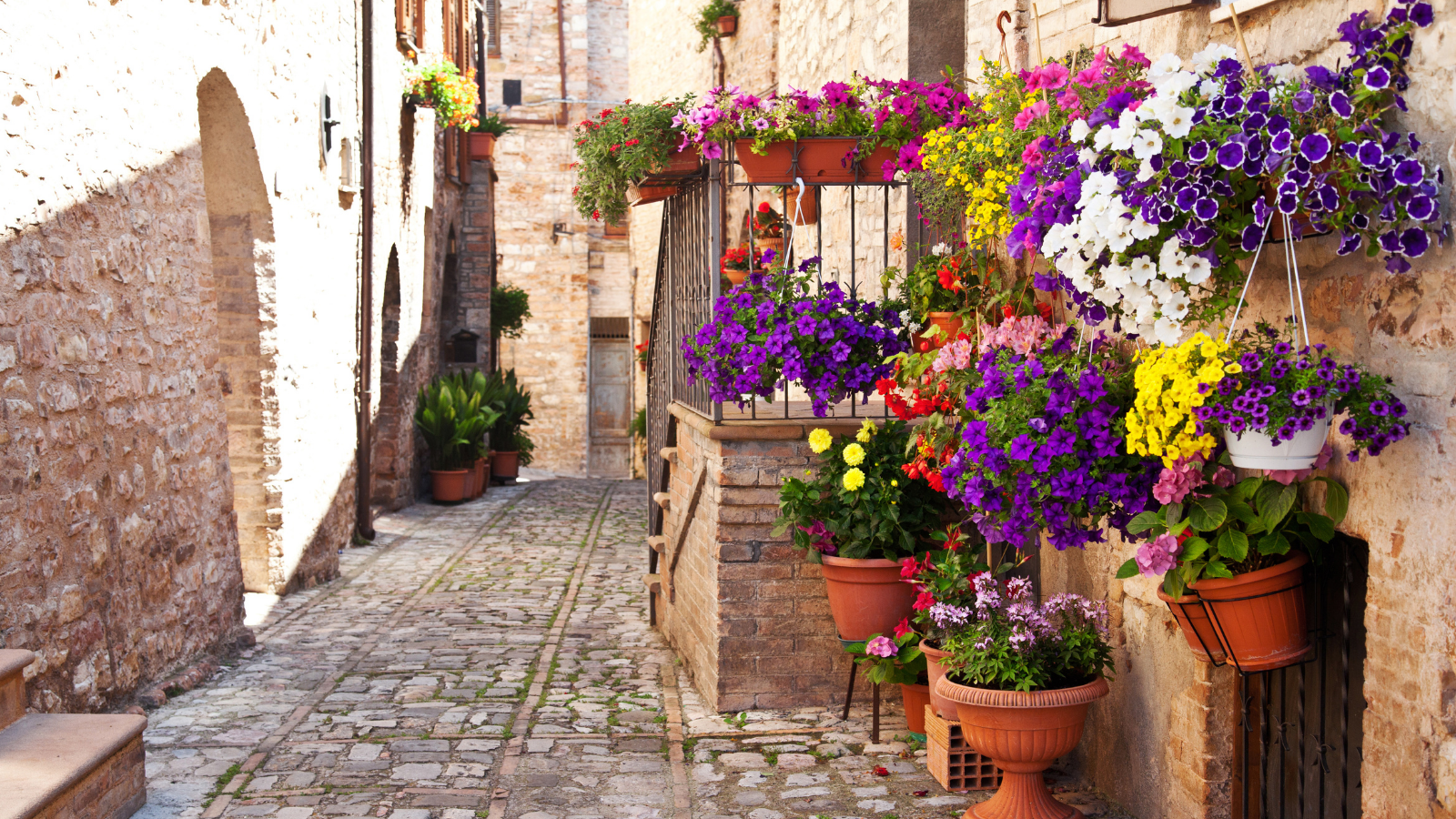 Flower-lined Assisi street